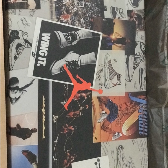 Nike Air Jordan Retro III Animal Instinct